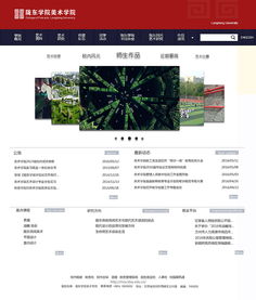 網(wǎng)站與網(wǎng)頁設(shè)計 構(gòu)建數(shù)字時代的視覺與功能橋梁